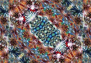 《哈利波特：魔法觉醒》欧美服公布 华纳游戏发行